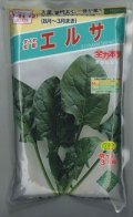 [ほうれんそう]　エルサ　　3万粒（種子サイズ：Ｍ）　トキタ種苗(株)