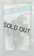 [ほうれんそう]　エルサ　　3万粒（種子サイズ：Ｍ）　トキタ種苗(株)