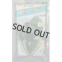 [ほうれんそう]　エルサ　　3万粒（種子サイズ：Ｍ）　トキタ種苗(株)