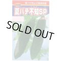 送料無料　[ゴーヤ]　夏バテ不知SP　10粒　渡辺農事（株）