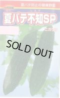 送料無料　[ゴーヤ]　夏バテ不知SP　10粒　渡辺農事（株）