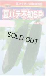 送料無料　[ゴーヤ]　夏バテ不知SP　10粒　渡辺農事（株）