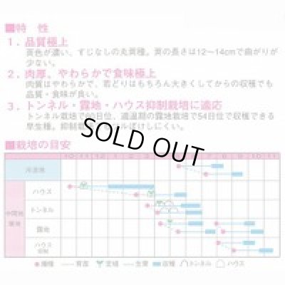 画像2: 送料無料　[いんげん]　カリーノ　1dl　渡辺農事（株）