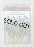 送料無料　[小松菜]　きよすみ　2dl　（株）サカタのタネ