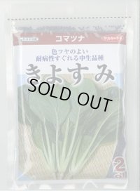 送料無料　[小松菜]　きよすみ　2dl　（株）サカタのタネ