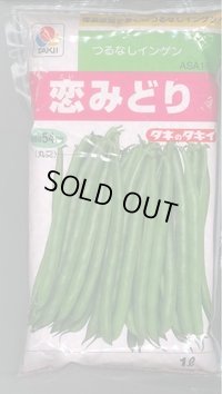 [いんげん]　恋みどり　1L　タキイ種苗(株)