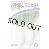 送料無料　[大根]　ミニミニピタ　4ml　(株)タカヤマシード