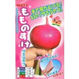 送料無料　[かぶ]　もものすけ　1ml(約200粒)　ナント種苗(株)