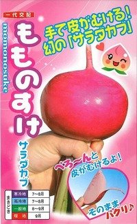送料無料　[かぶ]　もものすけ　1ml(約200粒)　ナント種苗(株)