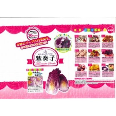 画像3: 送料無料　[白菜]　紫奏子(紫白菜)　40粒　ナント種苗（株）