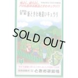送料無料　[キュウリ]　新ときわ地這いキュウリ　40粒　(株)ときわ研究場