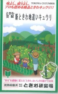 [キュウリ]　新ときわ地這いキュウリ　40粒　　（株）（株）ときわ研究場