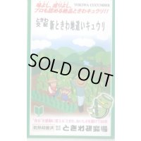 送料無料　[キュウリ]　新ときわ地這いキュウリ　40粒　(株)ときわ研究場
