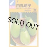 送料無料　[なす]　白丸茄子　約60粒　中原採種場(株)