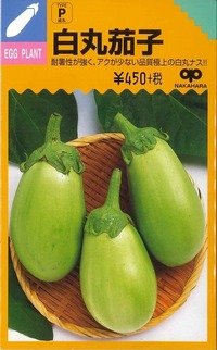 [なす]　白丸茄子　約60粒　　中原採種場（株）