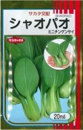 送料無料　[中国野菜]　シャオパオ(ミニチンゲンサイ)　20ml　（およそ4800粒）（株）サカタのタネ