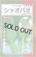 送料無料　[中国野菜]　シャオパオ(ミニチンゲンサイ)　20ml　（およそ4800粒）（株）サカタのタネ