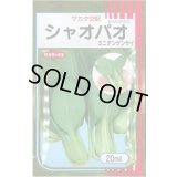 送料無料　[中国野菜]　シャオパオ(ミニチンゲンサイ)　20ml　（およそ4800粒）（株）サカタのタネ