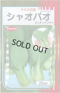 送料無料　[中国野菜]　シャオパオ(ミニチンゲンサイ)　20ml　（およそ4800粒）（株）サカタのタネ