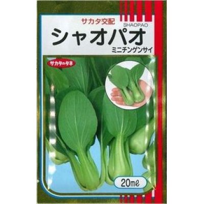 画像1: [中国野菜]　シャオパオ（ミニチンゲンサイ）　ペレット5000粒　サカタ交配　