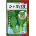 画像1: [中国野菜]　シャオパオ（ミニチンゲンサイ）　20ml　サカタ交配　 (1)