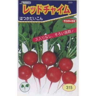 画像2: [シーダー種子]　はつかだいこん　レッドチャイム　1粒×3cm間隔100ｍ