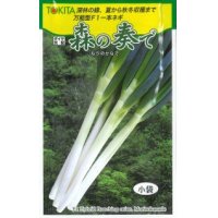 [ねぎ]　森の奏で　5ml　トキタ種苗（株）