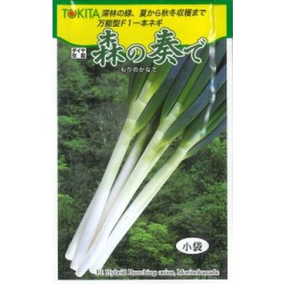 画像1: 送料無料　[ねぎ]　森の奏で　5ml　トキタ種苗(株)