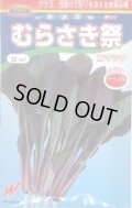 送料無料　[小松菜]　むらさき祭　20ml　渡辺交配