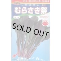 送料無料　[小松菜]　むらさき祭　20ml　渡辺交配