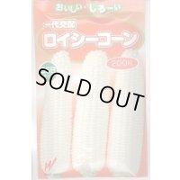 送料無料　[とうもろこし]　ロイシーコーン　(株)　200粒　渡辺農事（株）