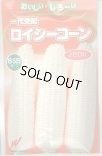 送料無料　[とうもろこし]　ロイシーコーン　(株)　200粒　渡辺農事（株）