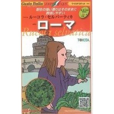 画像1: [イタリア野菜]　　ローマ　　５００粒　トキタ種苗（株）