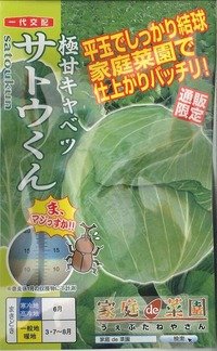 [キャベツ]　極甘サトウくん　40粒　ナント種苗