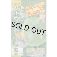 [キャベツ] 極甘サトウくん 40粒 ナント種苗（株）