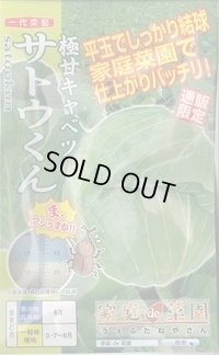 [キャベツ] 極甘サトウくん 40粒 ナント種苗（株）