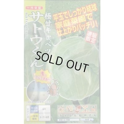 画像1: [キャベツ] 極甘サトウくん 40粒 ナント種苗（株）