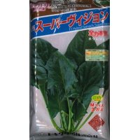 [ほうれんそう]　スーパーヴィジョン　Mサイズ3万粒　トキタ種苗（株）