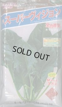 [ほうれんそう]　スーパーヴィジョン　3万粒（種子サイズ：Ｍ）　トキタ種苗(株)