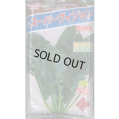画像1: [ほうれんそう] スーパーヴィジョン 3万粒（種子サイズ：Ｍ） トキタ種苗(株)