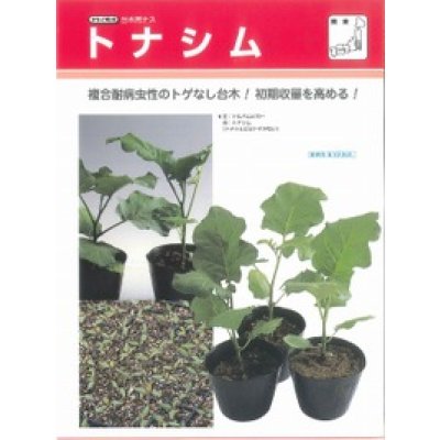 画像3: 送料無料　[台木/ナス用]　トナシム　1000粒　タキイ種苗(株)