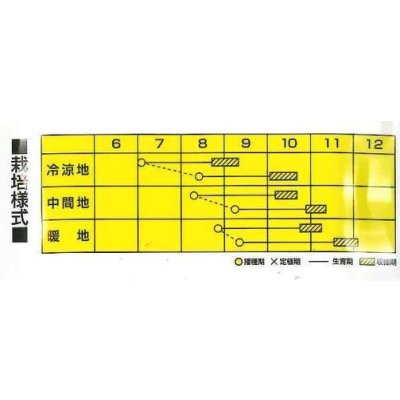 画像2: 送料無料　[大根]　ＹＲ夏みのり　2dl　カネコ種苗（株）