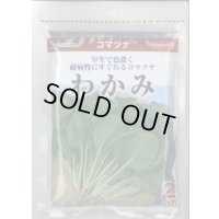 送料無料　[小松菜]　わかみ　2dl　（株）サカタのタネ