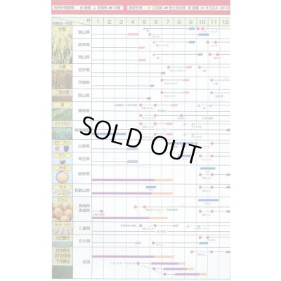 画像6: [緑肥]　ヘアリーベッチ　まめっこ　1kg　カネコ種苗(株)