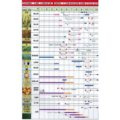 画像8: [緑肥]　ネマクリーン(マメ科)1kg　カネコ種苗(株)