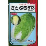 白菜　さとぶき613　20ml　（株）サカタのタネ