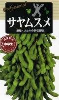 送料無料　[枝豆]　サヤムスメ　70ml(およそ120粒)雪印種苗(株)
