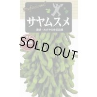 送料無料　[枝豆]　サヤムスメ　70ml(およそ120粒)雪印種苗(株)