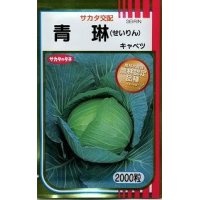 [キャベツ]　青琳　2000粒　サカタのタネ（株）