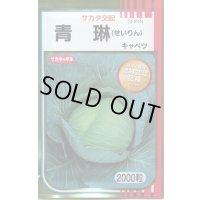 送料無料　[キャベツ]　青琳　2000粒　（株）サカタのタネ
